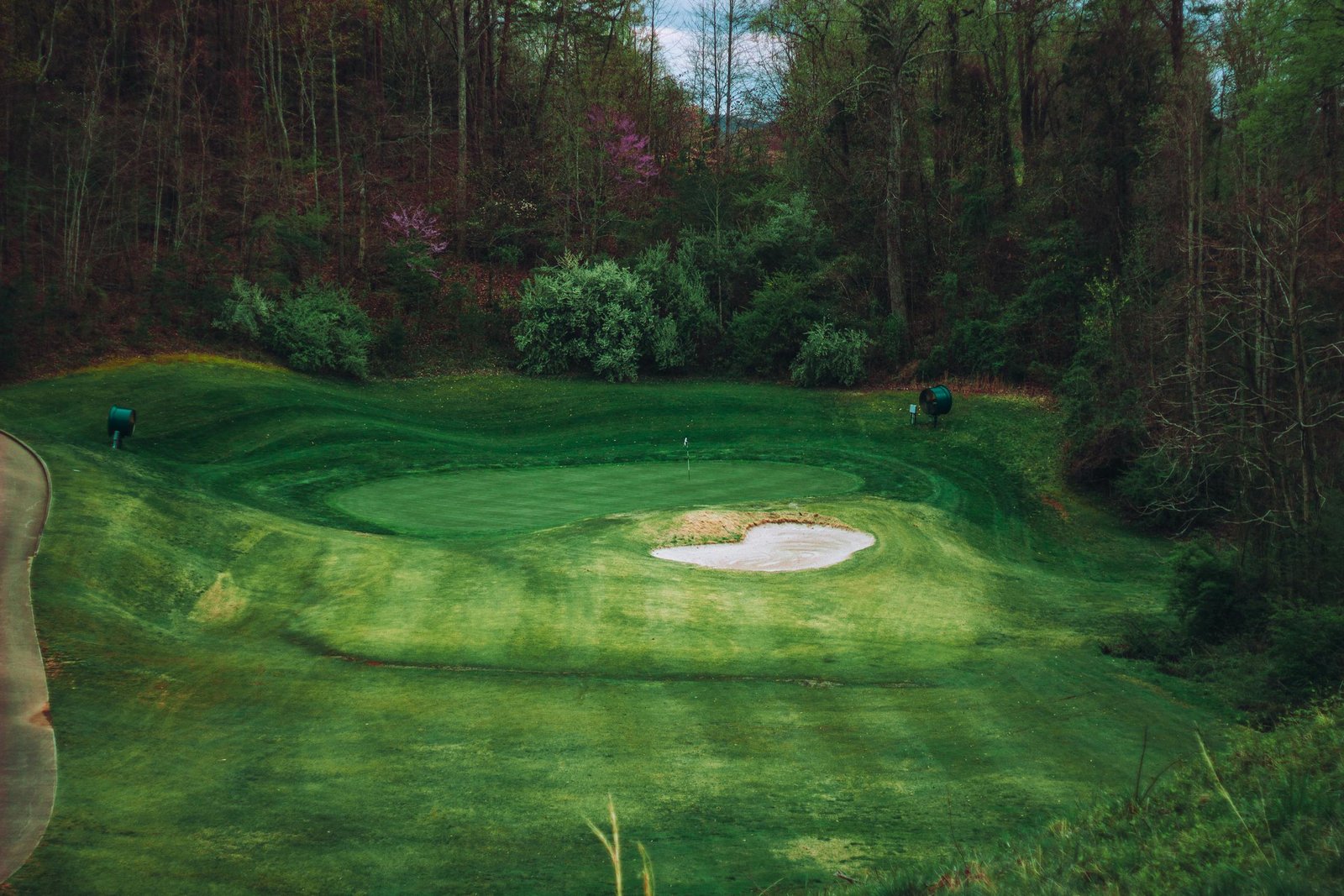 A serene golf course surrounded by lush forest, featuring a sand trap and vibrant greenery.